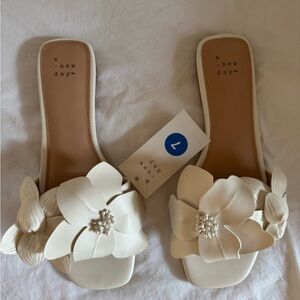 A New Day Flower Slides